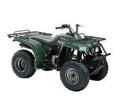 YFM250 Bear Tracker (01-04) YFM250 Bear Tracker (01-04)